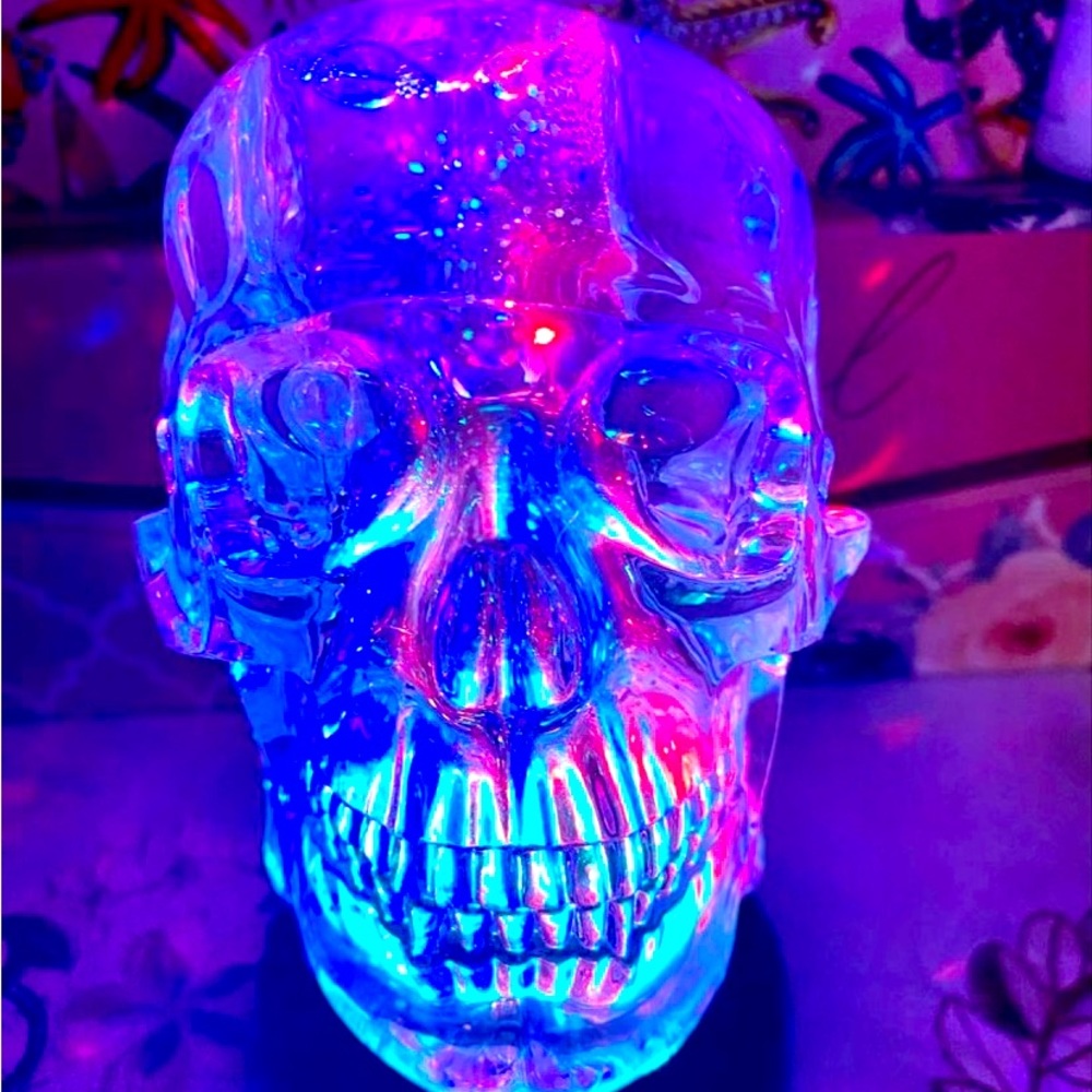 Light up Skeleton Snow Globe with Glitter inside